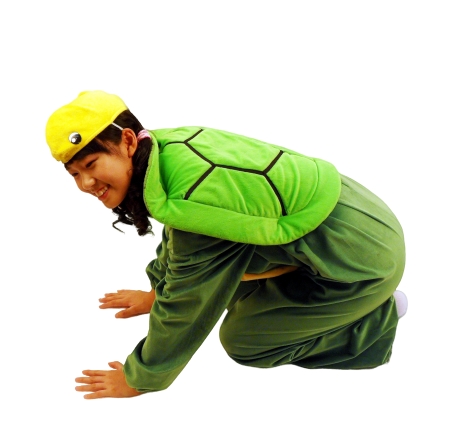 거북이